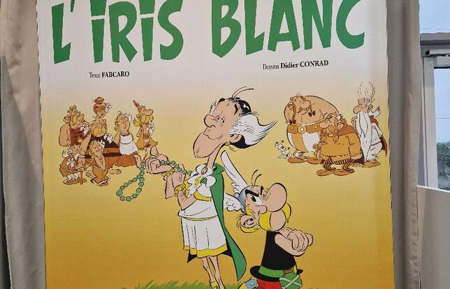 Asterix Iris Blanc couverture 