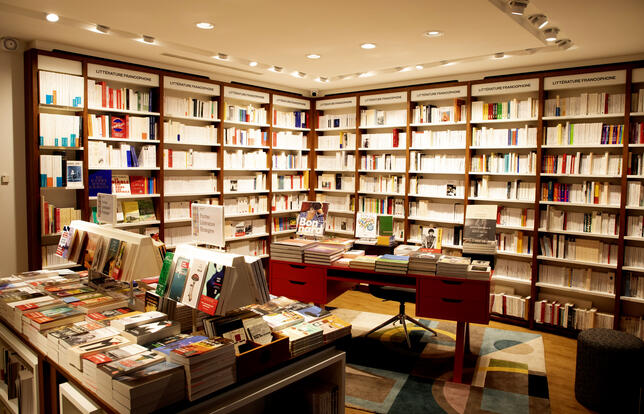 Librairie Albin Michel le rayon littérature