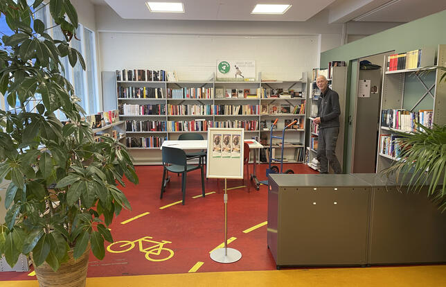 Frequentezvous les biblibrairies2.jpeg