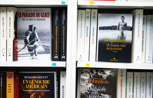 Francis Geffard Visions dAmeriques1.jpg