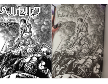 L'erreur découverte par les lecteurs de Berserk