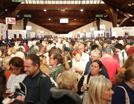 La foule à la foire du livre de Brive 2025