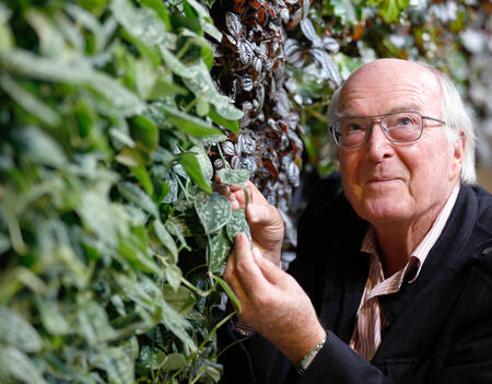 Francis Hallé en 2013