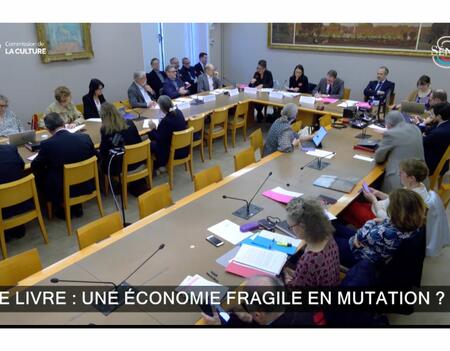 Capture d'écran de la retransmission visioconférence de la table ronde consacrée au thème « Le livre : une économie fragile en mutation ? »