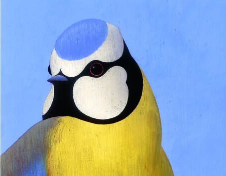 Ronald Curchod Les oiseaux Rouergue0.jpg