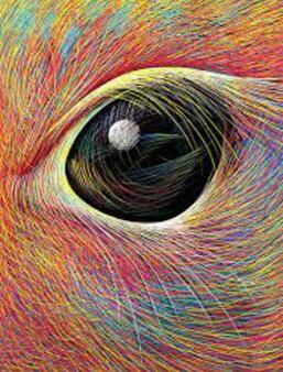 Isabelle Simler, Les idées sont de drôles de bestioles, Editions courtes et longues