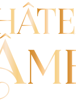 Logo chateau d'âmes