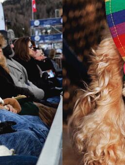 Martin Parr Waouh  editions des Grandes Personnes    0.jpg