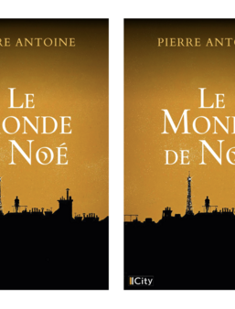 Couverture provisoire du roman "Le monde de Noé" de Pierre Antoine (City)