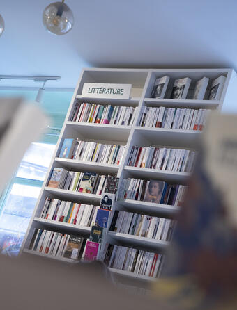 Marche du livre en 2023  le global stagne les rayons bougent0.jpg