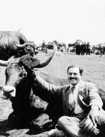 Laurent Jullier Hemingway Les Peregrines0.jpg