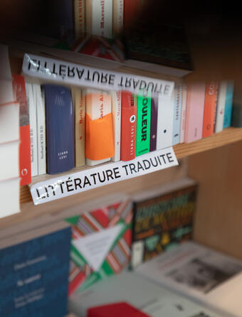 Profession  traducteurs0.jpg