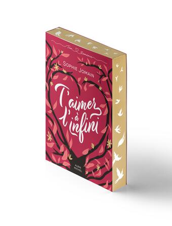 Teen Romance, Albin Jeunesse.jpg