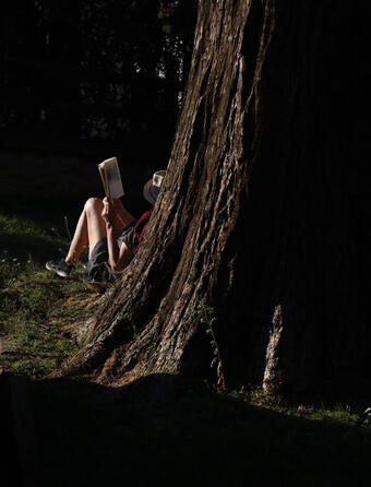 Une lectrice au pied d'un arbre
