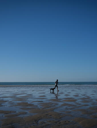 Les editeurs de sante   Desormais cest ChatGPT que nous craignons0.jpg