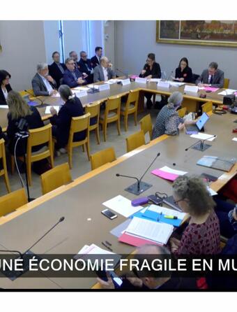 Capture d'écran de la retransmission visioconférence de la table ronde consacrée au thème « Le livre : une économie fragile en mutation ? »
