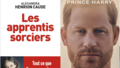 Les apprentis sorciers et la Suppléant