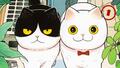 Hachi & Maruru : chats des rues T.1 de Yuri Sonoda