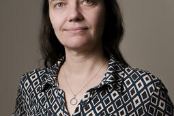 Christine van Geen Allumeuse Genese dun mythe Seuil0.jpg