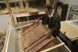 Lavenir est dans le mrier0.jpg