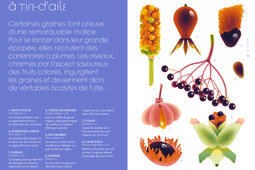 Cruschiform Lodyssee des graines Gallimard0.jpg