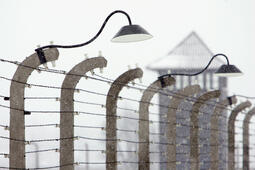 Les barbelés du camp d'Auschwitz photographiés par Sean Gallup (AFP)