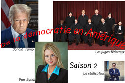 De la démocratie en Amérique02