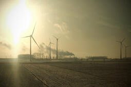 Ecologie