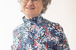 Annick Foucrier La Prohibition Interdire pour une Amerique meilleure Armand Colin0.jpeg