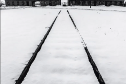 Auschwitz-Birkenau vu par Raymond Depardon