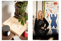 Dana Burlac Les Léonides