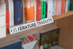 Profession  traducteurs0.jpg