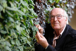 Francis Hallé en 2013