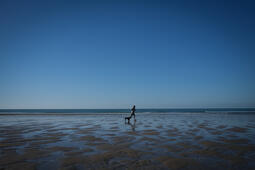 Les editeurs de sante   Desormais cest ChatGPT que nous craignons0.jpg