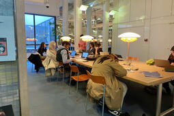 Bibliotheques universitaires et municipales  des synergies a cultiver0.jpeg