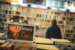 Fantasy