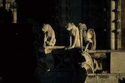 Pauline Guillemet Reconstruire le Moyen ge Cathedrales chateaux monasteres  comment nous avons fantasme notre passe medieval Premier Parallele0.jpg