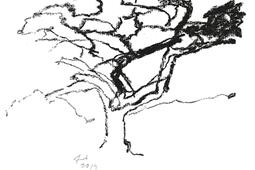 A la chaux de nos silences : poèmes.jpg