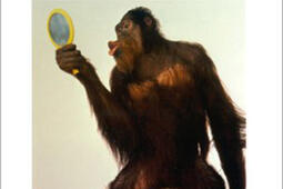 A quoi pensent les animaux_O Jacob.jpg