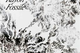 Abdelkader Benchamma : rayon fossile.jpg