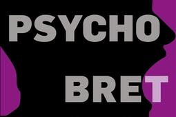 American psycho_R Laffont_9782221128107.jpg