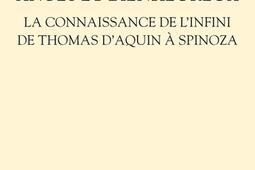 Anges et bienheureux : la connaissance de l'infini de Thomas d'Aquin à Spinoza.jpg