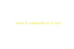 Ann Veronica Janssens : entre le crépuscule et le ciel.jpg