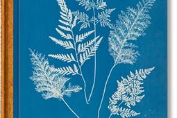 Anna Atkins : cyanotypes.jpg