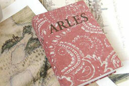 Arles : histoire, territoires et cultures.jpg