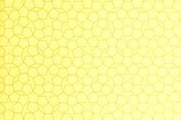 Arte povera  une constellation_Art press_9782906705654.jpg