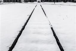 AuschwitzBirkenau vu par Raymond Depardon_CalmannLevy_9782702195055.jpg