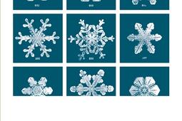 Autobiographie de la neige : les formes des cristaux, la fin des glaciers et autres histoires d'un monde silencieux.jpg