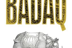 Badaq_Cherche Midi_9782749180441.jpg