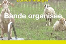 Bande organisée : récit.jpg